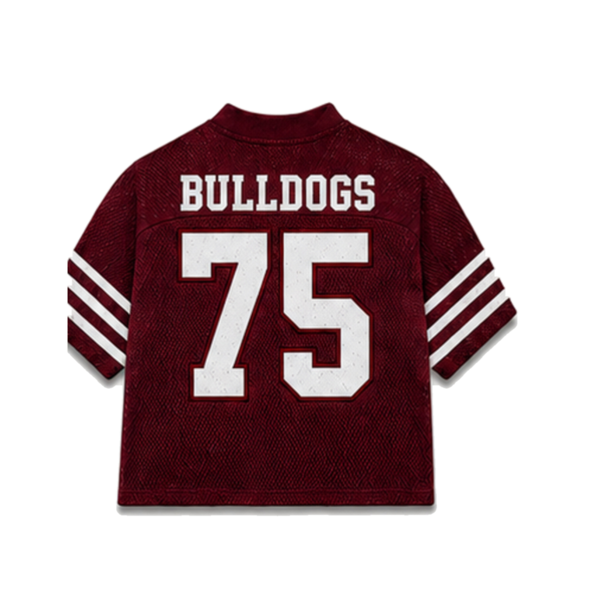 Alabama A&M Legacy Jersey in regular school colors, back view