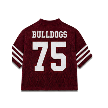 Alabama A&M Legacy Jersey in regular school colors, back view