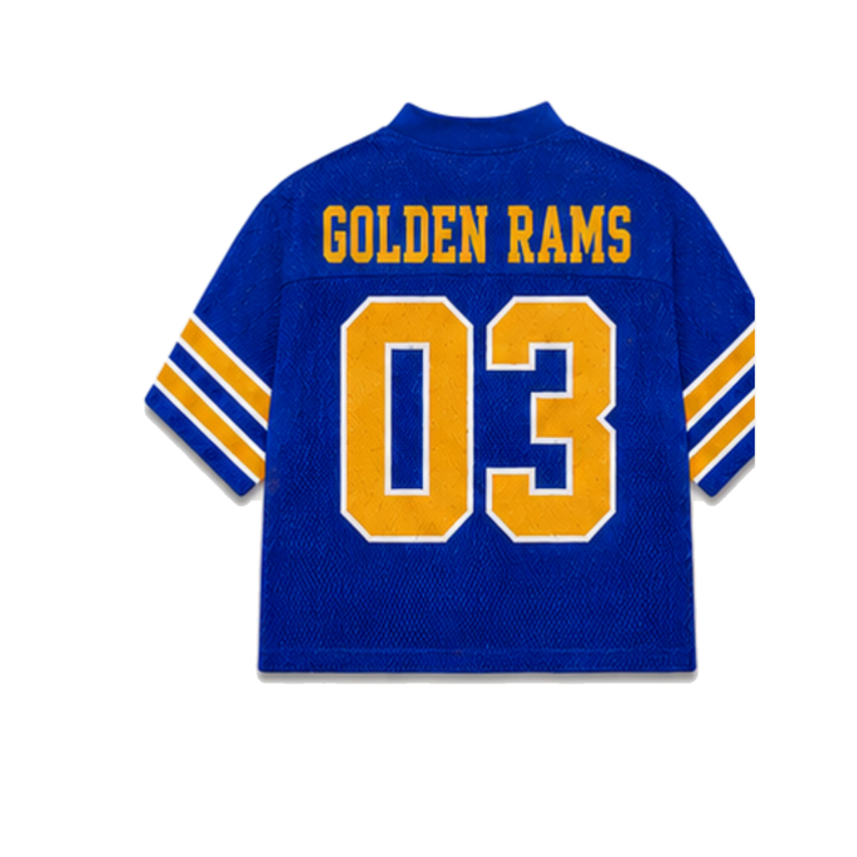 Albany State Legacy Jersey in regular school colors, back view