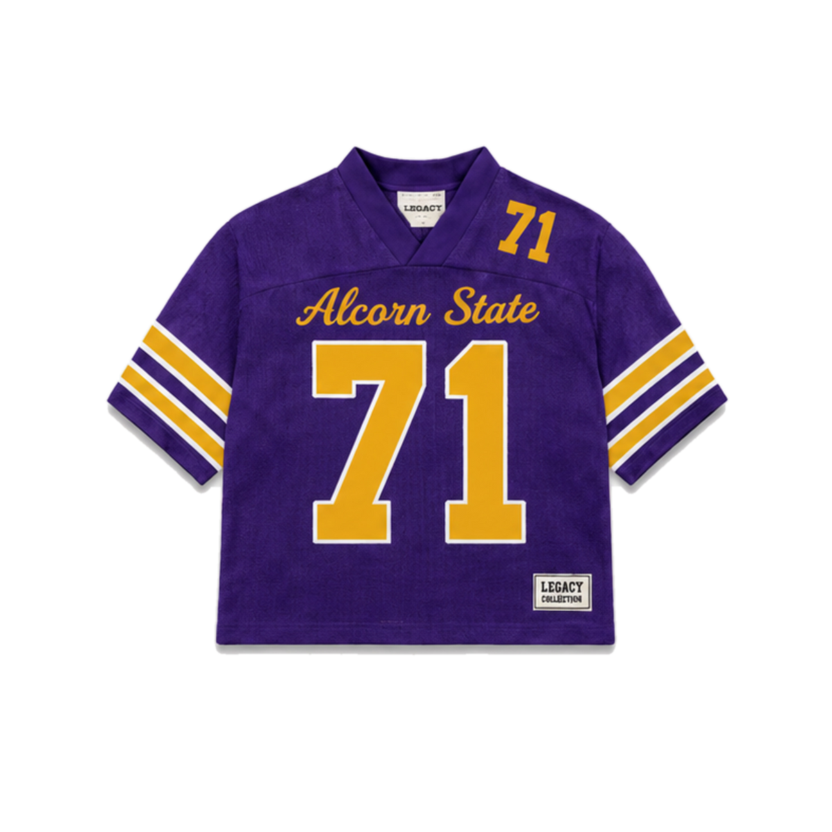 Alcorn State Legacy Jersey in regular school colors, front view