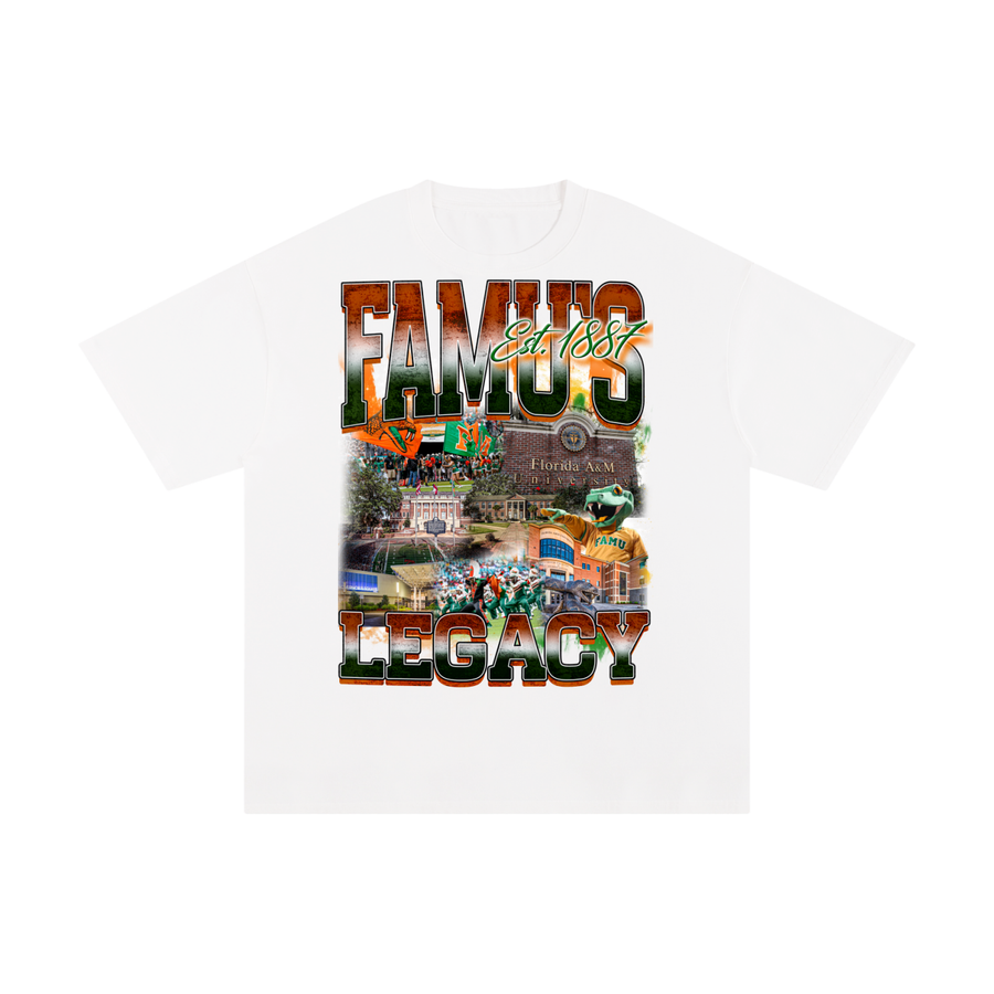 FAMU alternate view