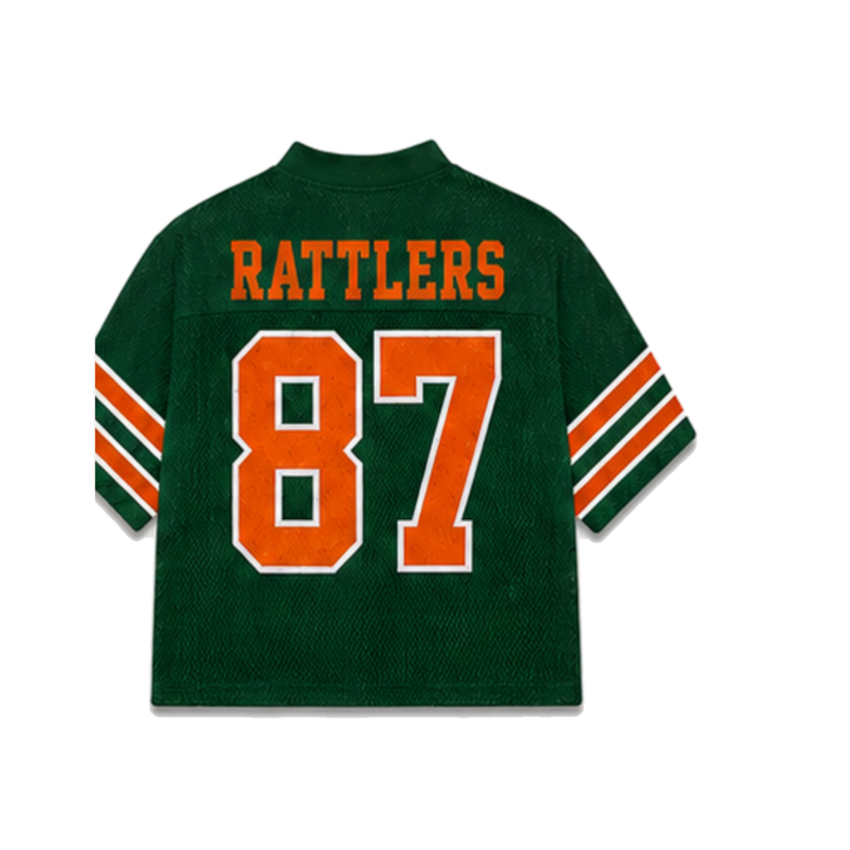 FAMU Legacy Jersey in regular school colors, back view