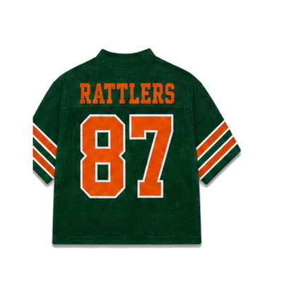 FAMU Legacy Jersey in regular school colors, back view