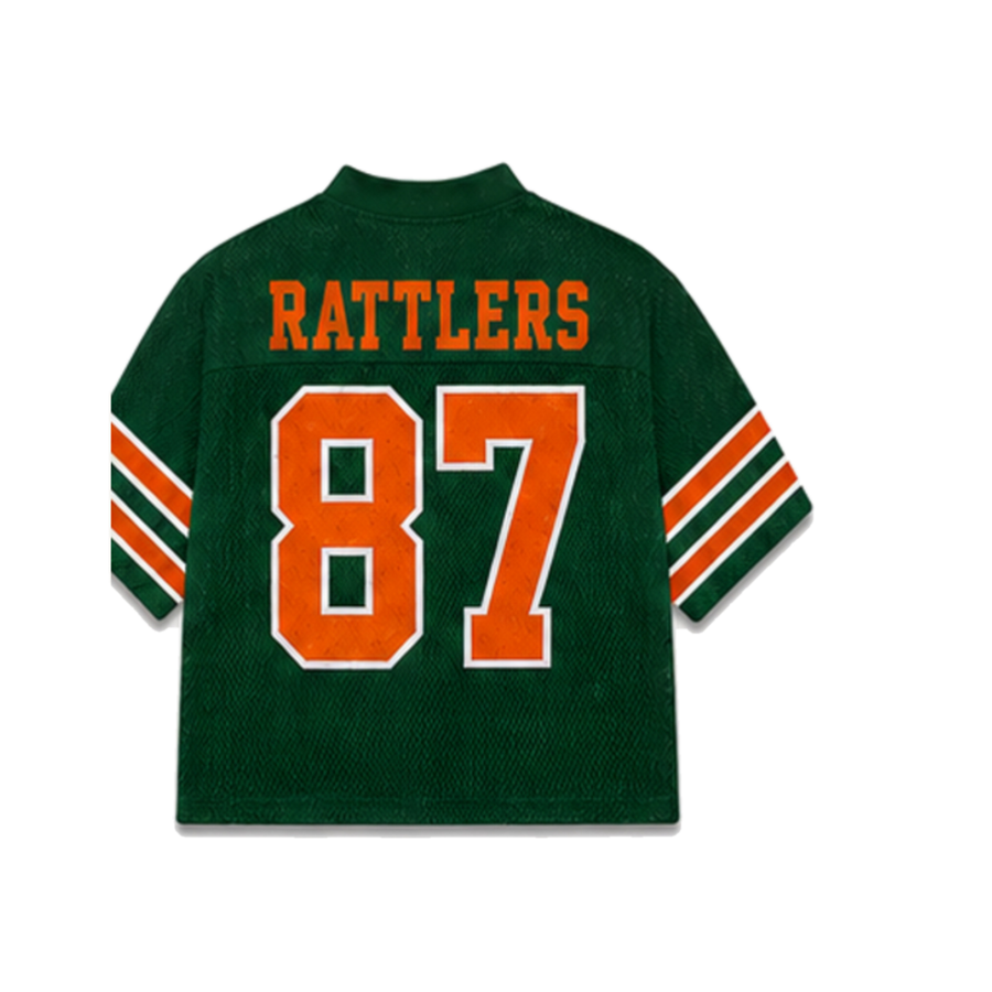 FAMU Legacy Jersey in regular school colors, back view alternate view