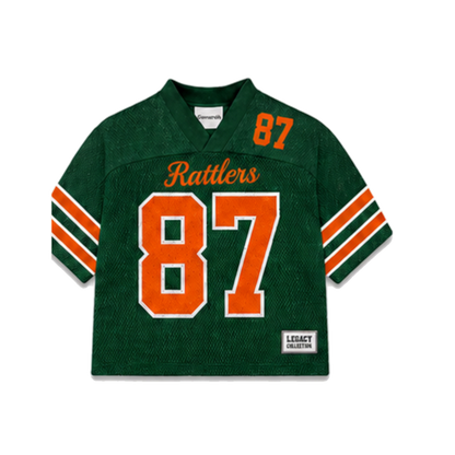 FAMU Legacy Jersey in regular school colors, front view