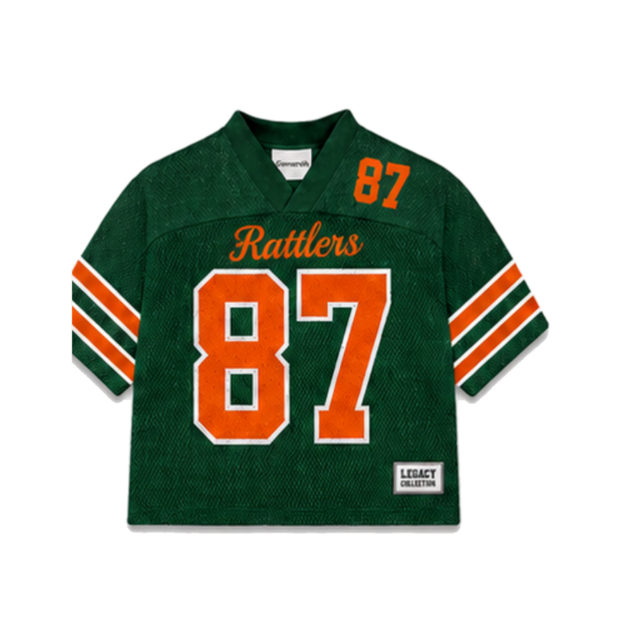 FAMU Legacy Jersey in regular school colors, front view