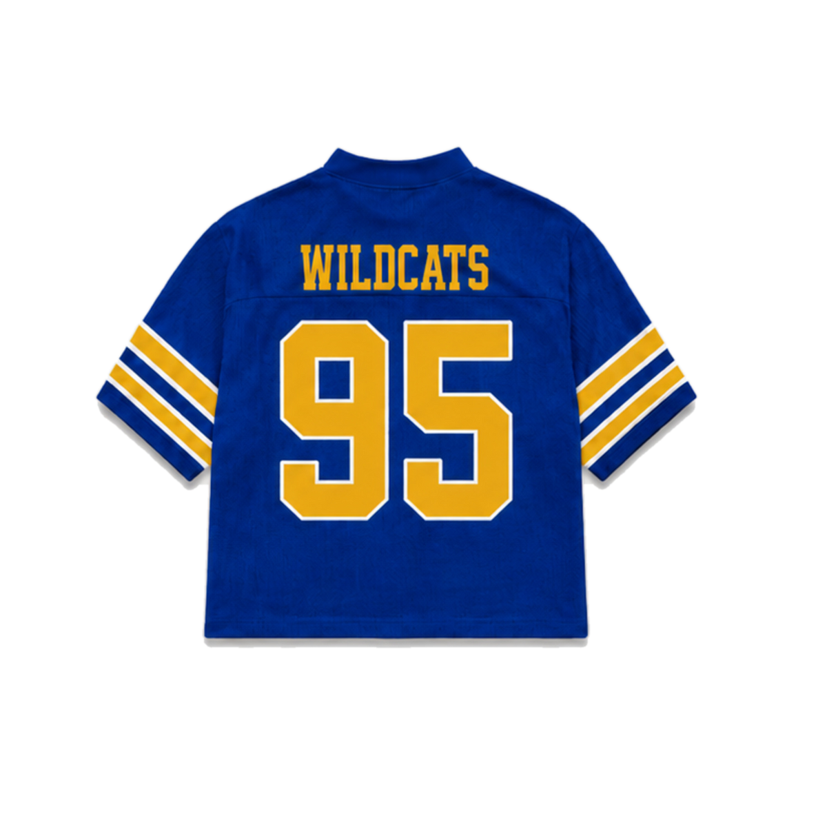 Fort Valley State Legacy Jersey in regular school colors, back view