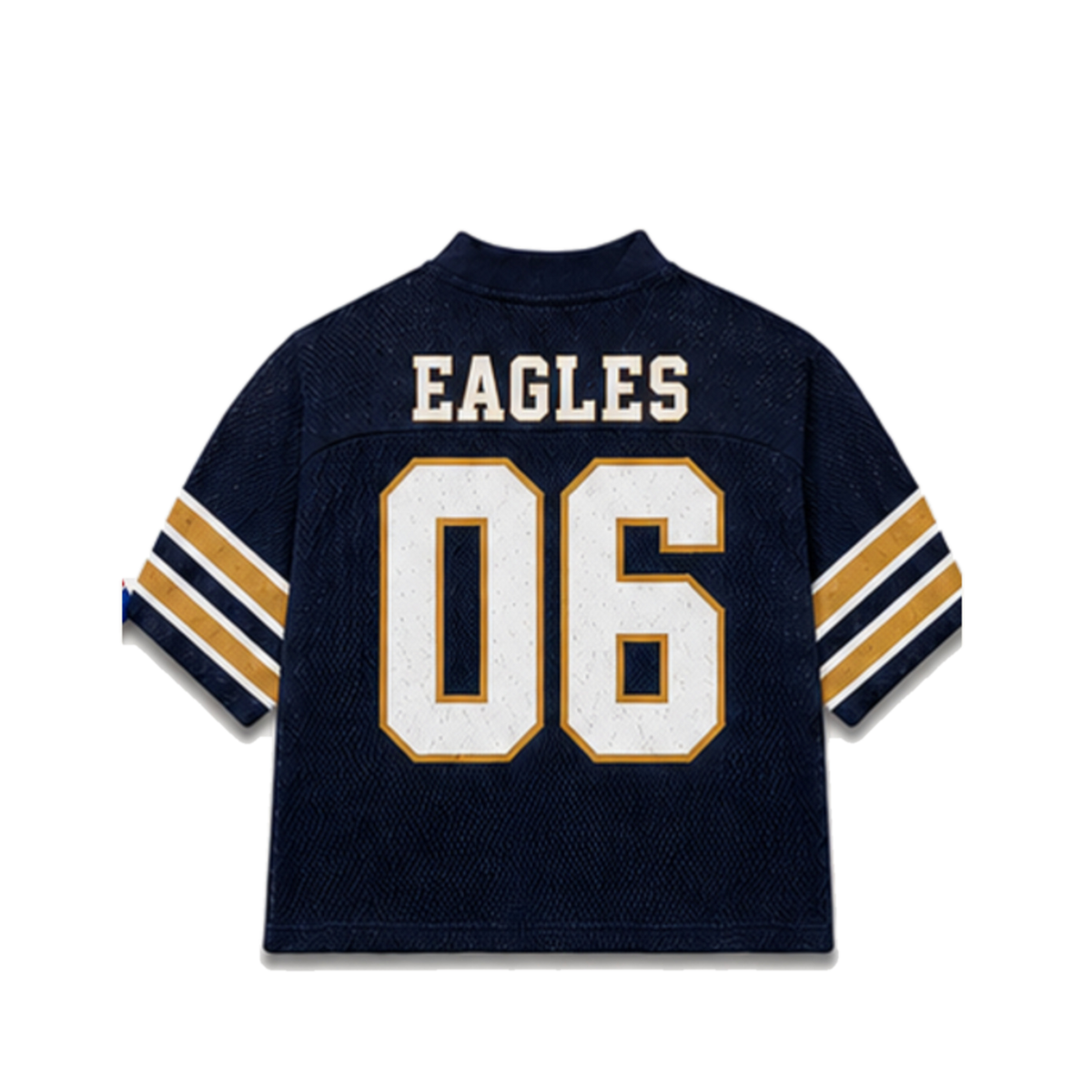 Georgia Southern Legacy Jersey in regular school colors, back view