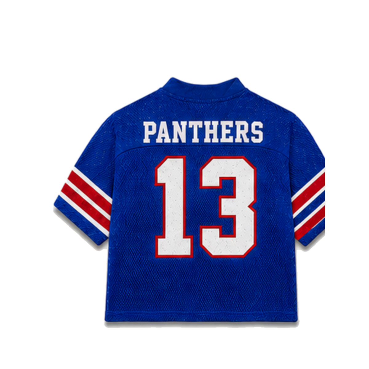 Georgia State Legacy Jersey in regular school colors, back view