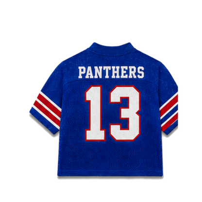 Georgia State Legacy Jersey in regular school colors, back view