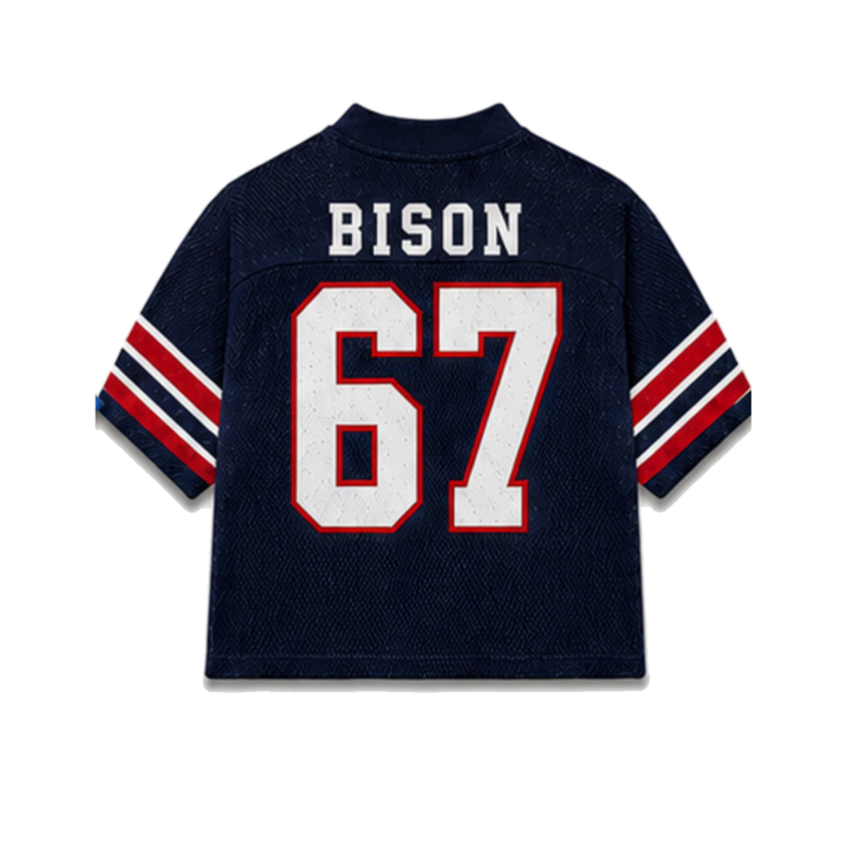 Howard Legacy Jersey in regular school colors, back view