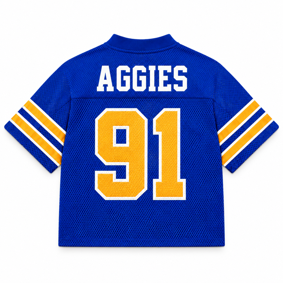 N.C. A&T State University Legacy Jersey regular back alternate view