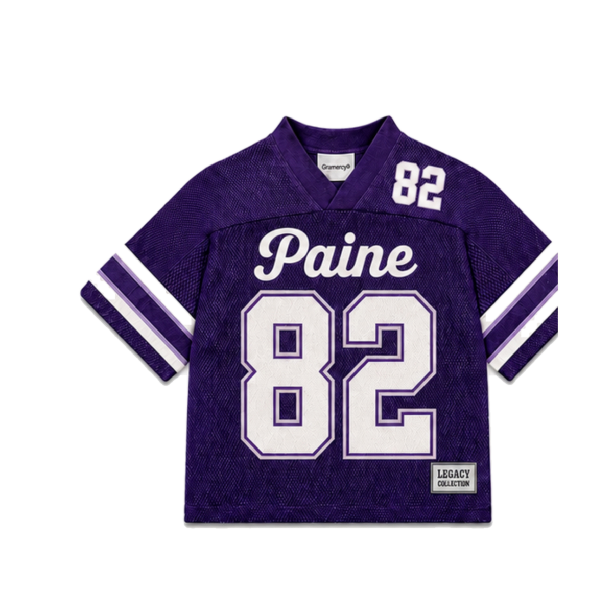 Paine College Legacy Jersey in regular school colors, front view