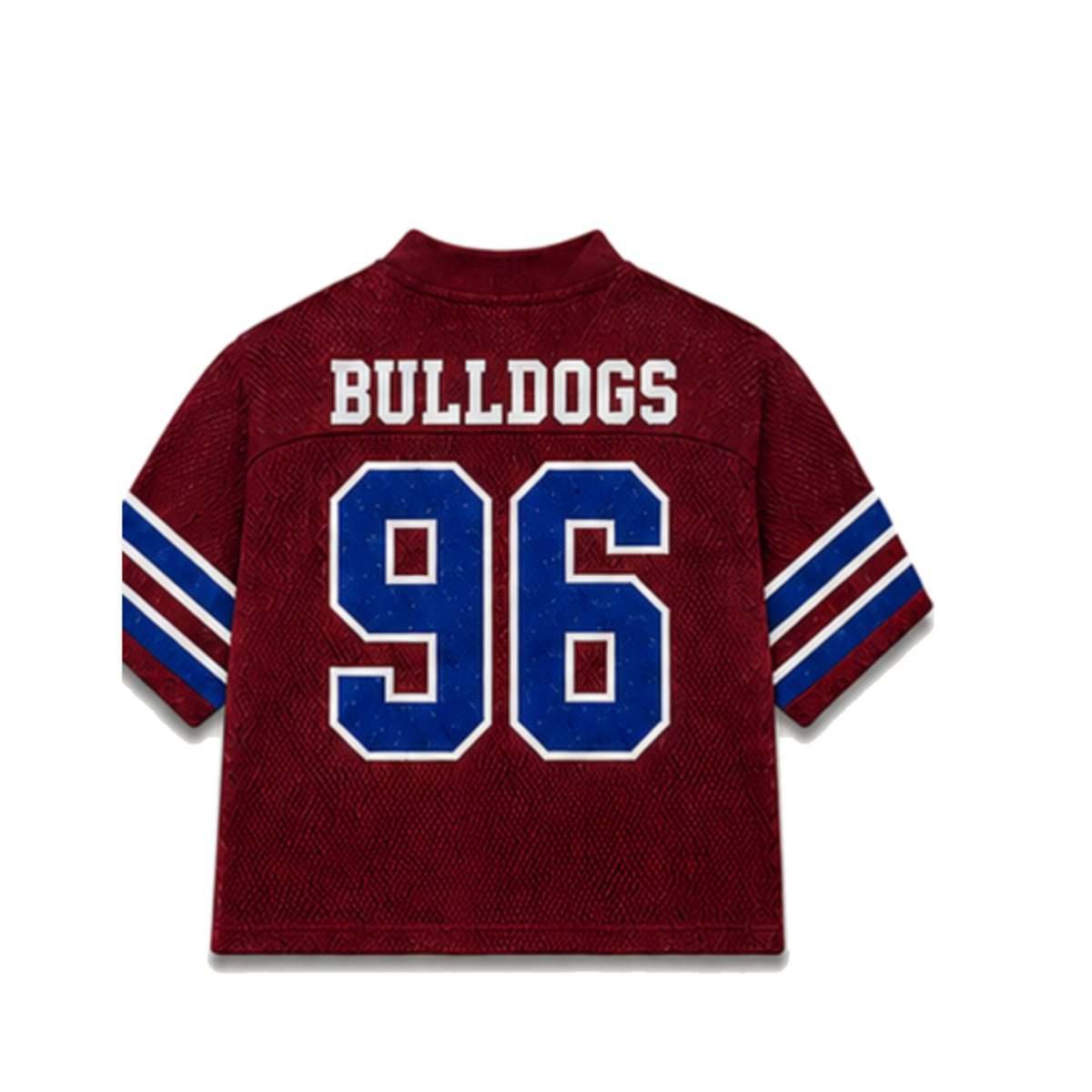 SC State Legacy Jersey in regular school colors, back view