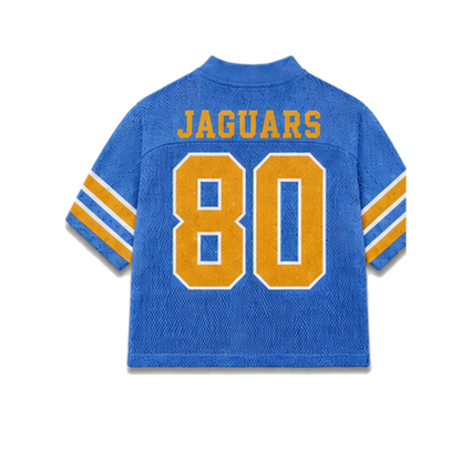 Southern Legacy Jersey in regular school colors, back view
