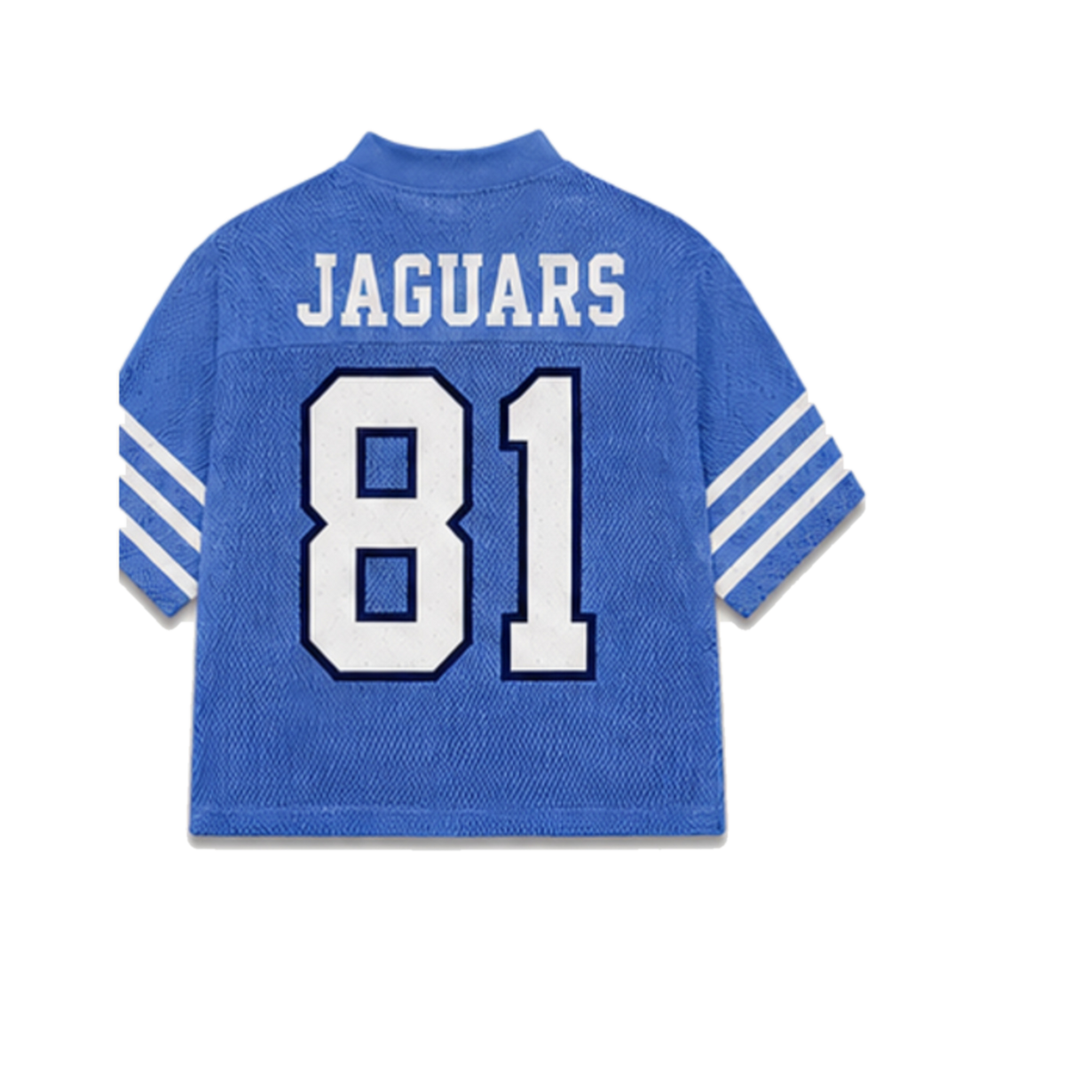 Spelman Legacy Jersey in regular school colors, back view