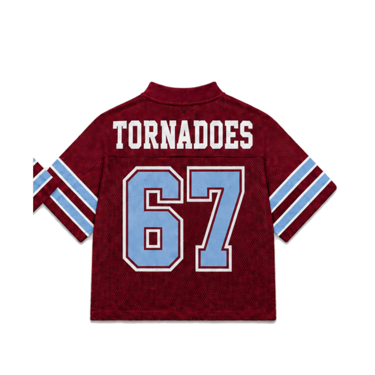 Talladega College Legacy Jersey in regular school colors, back view