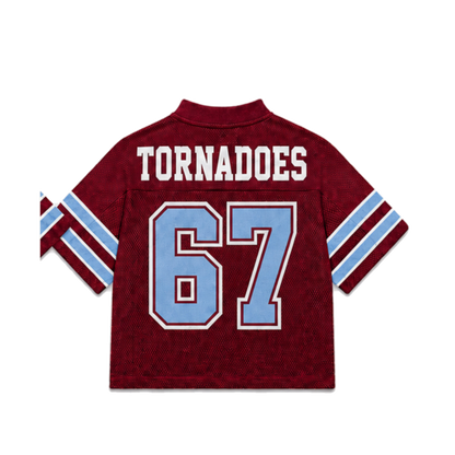 Talladega College Legacy Jersey in regular school colors, back view
