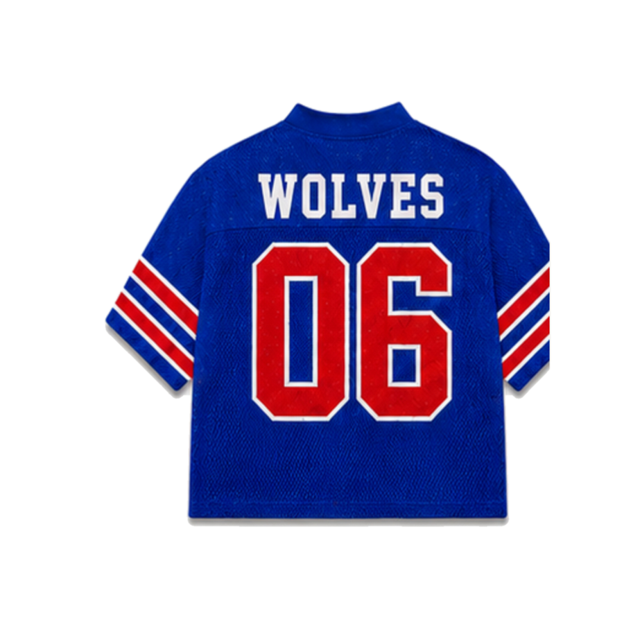 West Georgia Legacy Jersey in regular school colors, back view alternate view